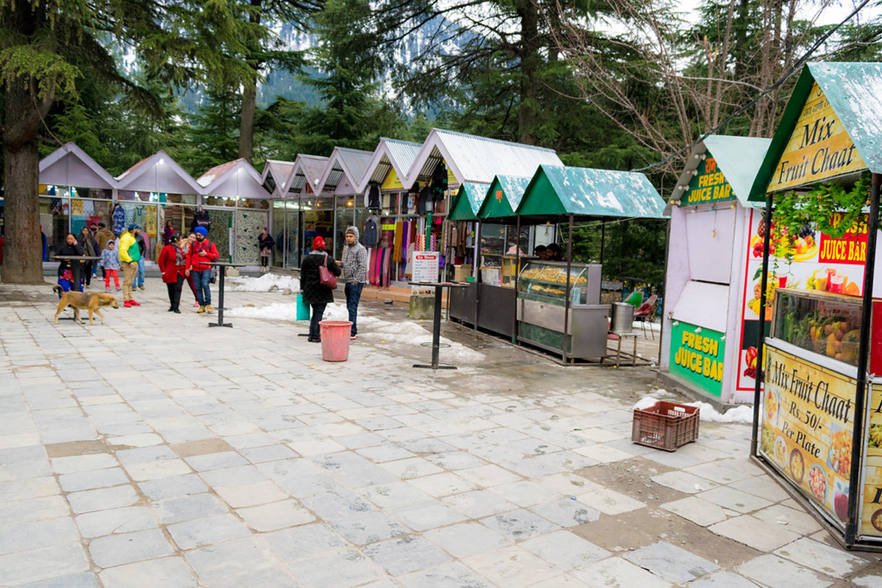 Hotel Romany Manali